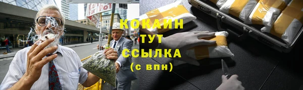 стафф Вязьма