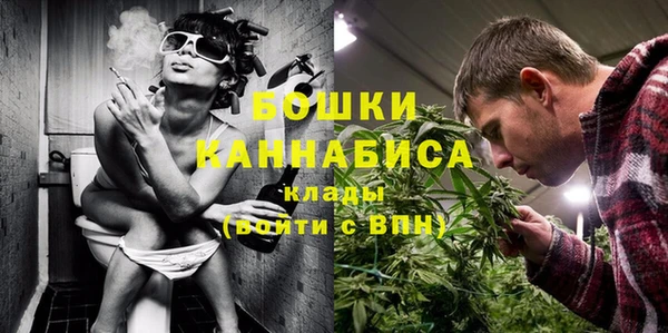 стафф Вязьма