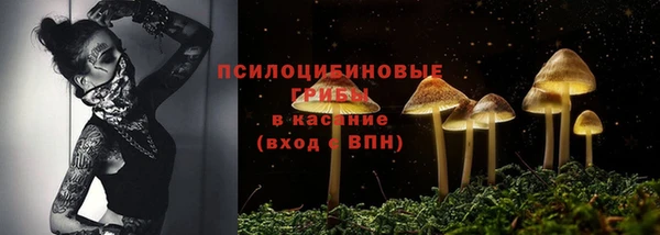 альфа пвп Вяземский