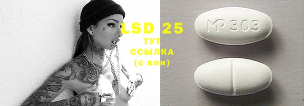 стафф Вязьма