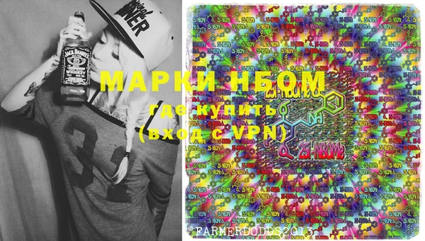 стафф Вязьма