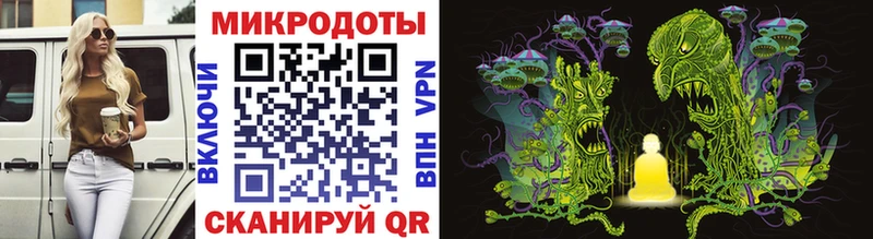 купить закладку  mega онион  Галлюциногенные грибы Cubensis  Энем 